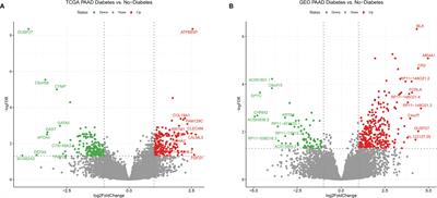 Immune Infiltration of CD8+ T Cells in Patients With Diabetic Pancreatic Cancer Reduces the Malignancy of Cancer Tissues: An In Silico Study